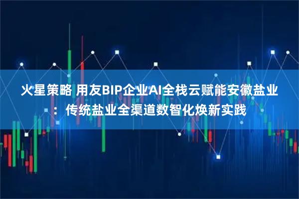 火星策略 用友BIP企业AI全栈云赋能安徽盐业：传统盐业全渠道数智化焕新实践
