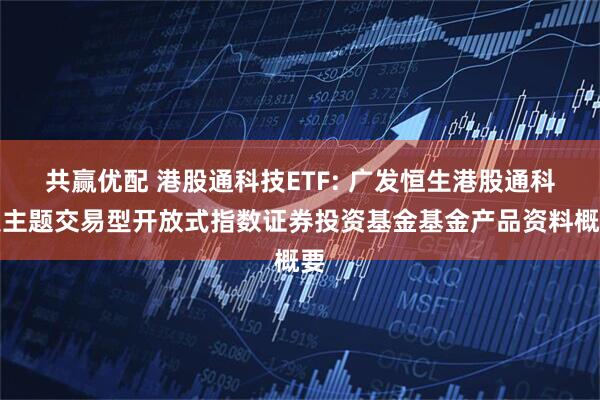 共赢优配 港股通科技ETF: 广发恒生港股通科技主题交易型开放式指数证券投资基金基金产品资料概要