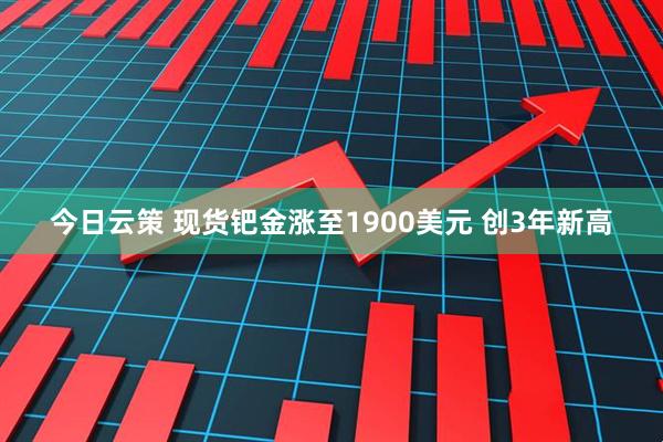 今日云策 现货钯金涨至1900美元 创3年新高