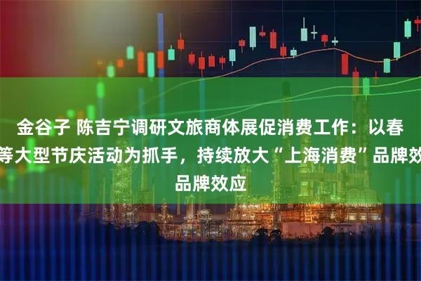 金谷子 陈吉宁调研文旅商体展促消费工作：以春节等大型节庆活动为抓手，持续放大“上海消费”品牌效应