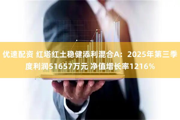 优速配资 红塔红土稳健添利混合A：2025年第三季度利润51657万元 净值增长率1216%